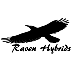 Raven Logo1